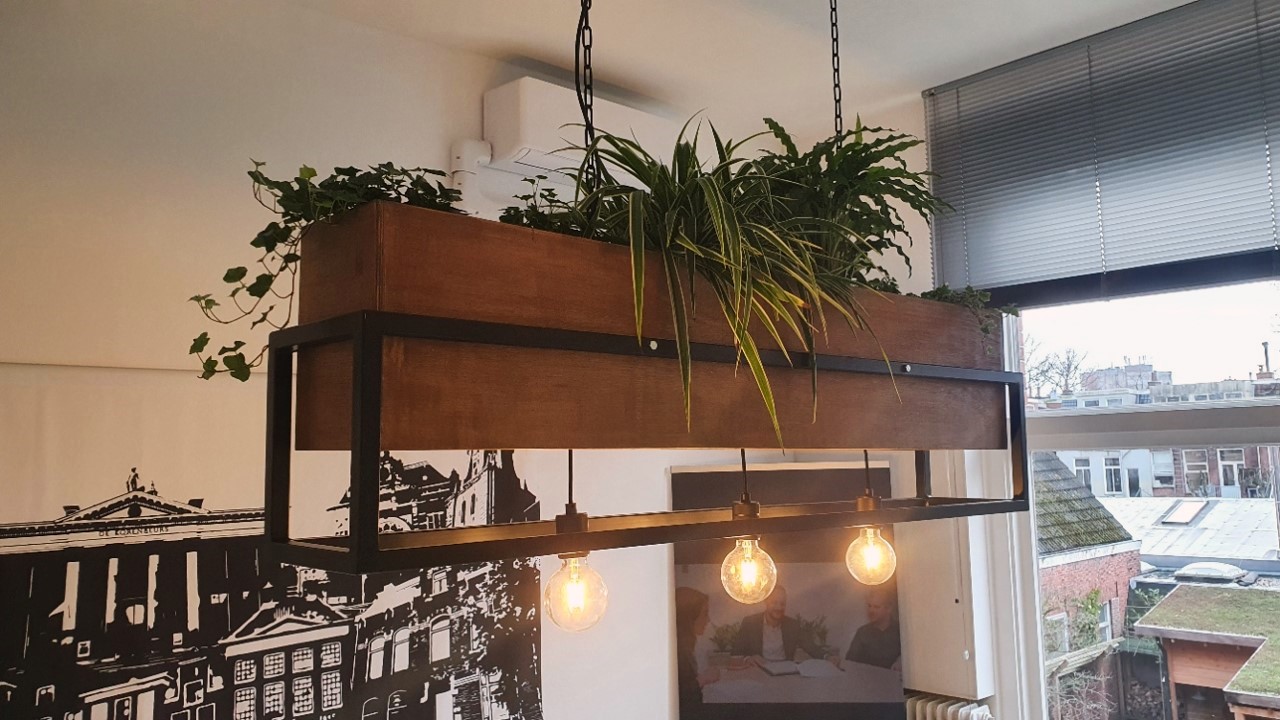 The Convi-light pendant lamp — a wooden trough of trailing plants above a black metal frame with exposed bulbs